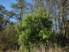 keersopIMG_20230503