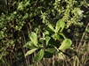 keersopIMG_20230503