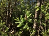keersopIMG_20230503