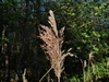 keersopIMG_20230503