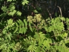 keersopIMG_20230503