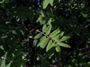 keersopIMG_20230503