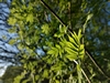 keersopIMG_20230503