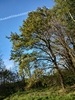 keersopIMG_20230503