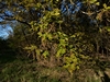 keersopIMG_20230503