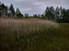 keersop20230507