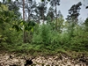 keersop20230510
