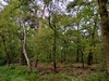 keersop141050230