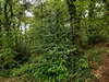 keersop141050230