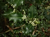 keersop141050230