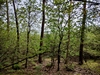 keersop141050230
