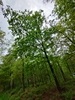keersop141050230