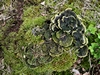 keersop141050230