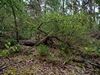 keersop141050230