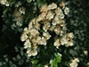 keeersop20230514