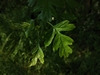 keeersop20230514