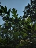 keeersop20230514