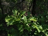 keeersop20230514