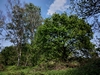 keeersop20230514