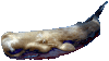 halvol