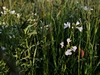 keerop20230517