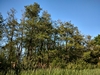 keerop20230517