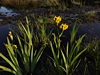 keerop20230517