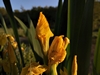 keerop20230517