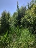 beekloop20230603