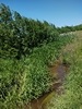 beekloop20230603