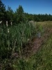 beekloop20230603