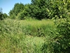 beekloop20230603
