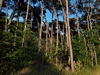 beekloop20230603