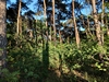 beekloop20230603