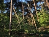 beekloop20230603