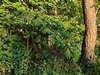 beekloop20230603