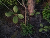 beekloop20230603