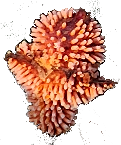 beekloop20230603