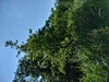 keersop20230609_133704221