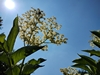 keersop20230609_133704221