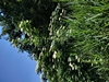 keersop20230609_133704221