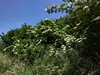 keersop20230609_133704221