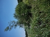 keersop20230609_133704221