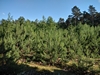 keersop20230609_133704221