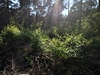 keersop20230609_133704221