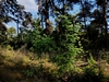 keersop20230609_133704221
