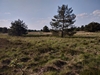keersop20230609_133704221