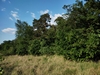 keersop20230609_133704221