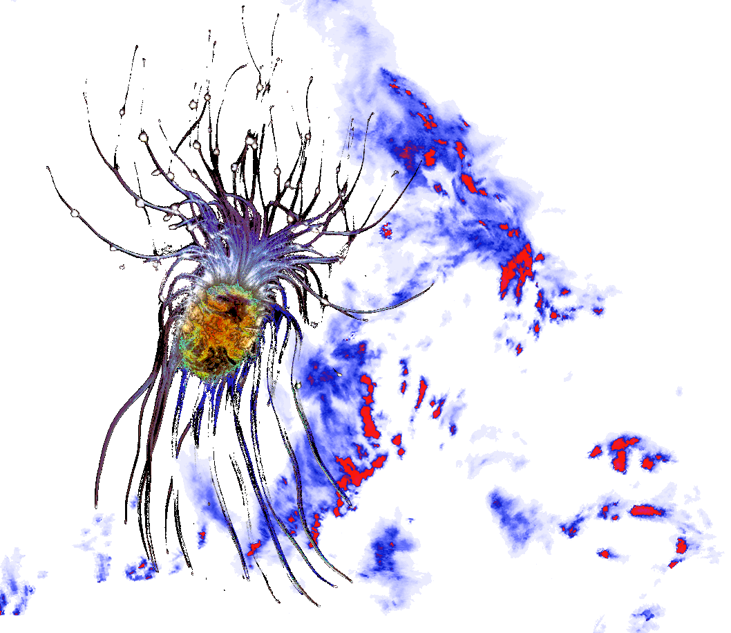 early eukaryote