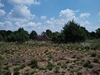 keersop20230623